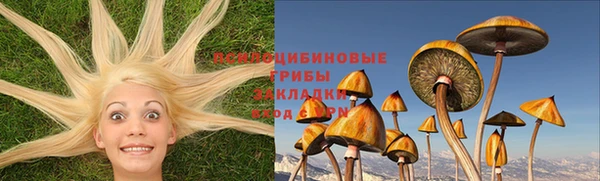 ешки Лагань