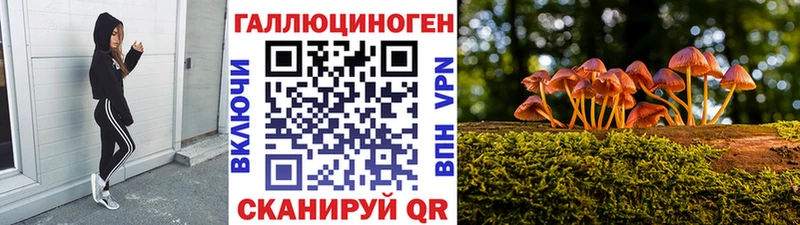 Купить где  Спас-Клепики  Псилоцибиновые грибы мицелий 